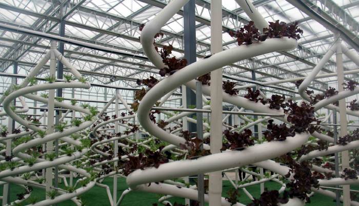 生態(tài)科普館設(shè)計(jì)